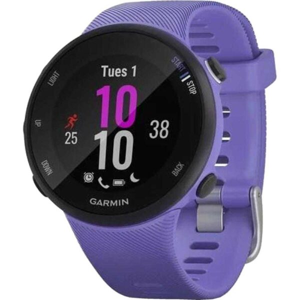 Smartwatch Garmin Forerunner 45s, Iris - Cod produs: 146430